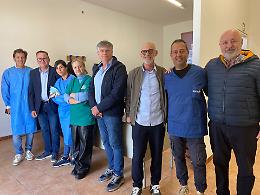 Vittoria, il Comune intensifica l'impegno contro il randagismo: sterilizzati sette cani