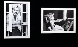 Elliott Erwitt: proroga da record a Palermo, mostra al Palazzo Reale fino al 6 gennaio 2026