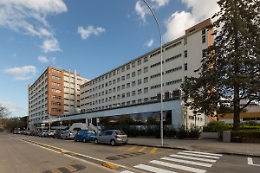 Protesta per le borse di studio: «Oltre ottomila esclusi»