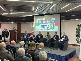 Mulè su Cardinale: "Non mi risulta sia un padre nobile di Fi, forse è solo il padrino politico di qualcuno"