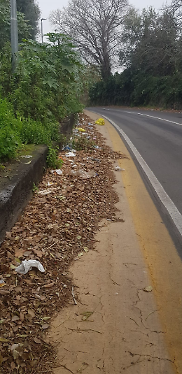 Le piste ciclabili e le manutenzioni ordinarie dimenticate