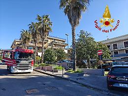 La casa va a fuoco (fortunatamente) mentre i proprietari sono fuori, ma il gatto di famiglia muore intossicato 