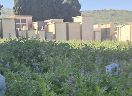 Comiso, nel degrado l'area cimiteriale cittadina