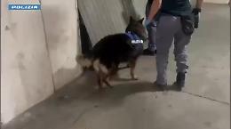 Nel garage di Nesima a Catania 4,5 chili di droga, la nuova scoperta di Maui e Ares