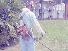 Diserbo, no a Reset e via libera ai privati:  la gara per l&rsquo;affidamento coster&agrave; al Comune 1,4 milioni di euro