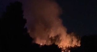 Fiamme nella riserva del Pino d'Aleppo, a Vittoria situazione critica