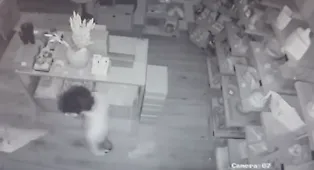 Vittoria, ripreso il ladro nel negozio di via Ruggero Settimo