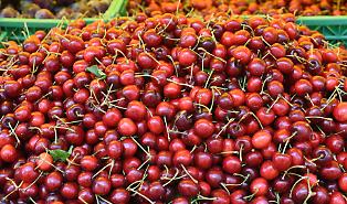 L'effetto clima su frutta e ortaggi: produzione di ciliegie in pieno boom con un calo del prezzo all'ingrosso
