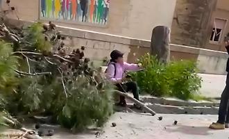 Ragusa, gli alberi e la mattinata movimentata nella piazzetta di via Benedetto Croce. Cinque stelle a corrente alternata
