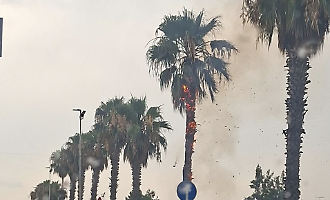 Maltempo a Vittoria, fulmine colpisce una palma che prende fuoco