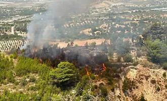 Chiaramonte, incendio nella macchia forestale. Il sindaco: "Vietato entrare"