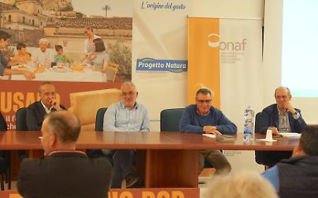 Un quarto del latte bovino dell'intera Sicilia &egrave; raccolto in provincia di Ragusa