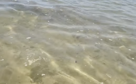 Marina di Modica, ci risiamo: riparte l'estate e torna la segnalazione di schiuma nell'acqua