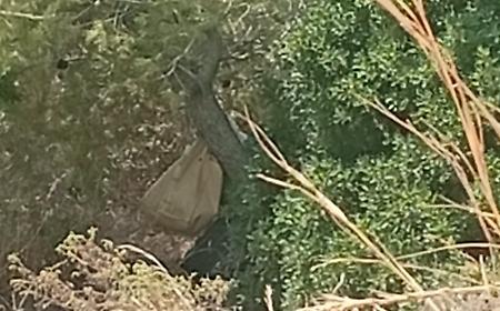Vittoria, tre buste con abiti da da donna ritrovate nella riserva dei Pini d'Aleppo