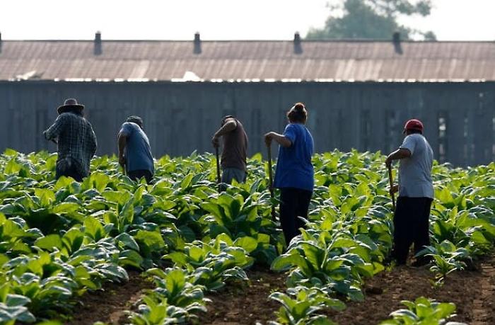 Gela, cadavere in una vasca di irrigazione: sarebbe un bracciante agricolo romeno