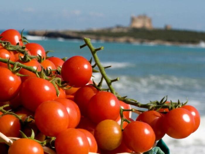 &laquo;Pomodoro, il rivale dell'Isola non &egrave; il Marocco ma l'Olanda&raquo;