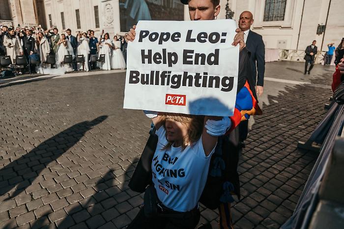 Dopo l'arresto a piazza San Pietro, Loredana Cannata scrive al Papa: «Sono stata bandita dal Vaticano ma...»