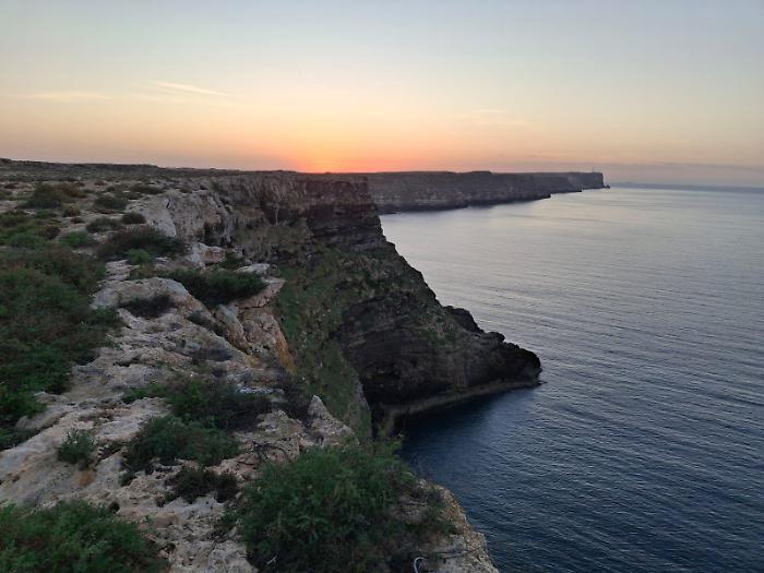 Operazione antibracconaggio del Nucleo Cites Carabinieri Palermo: 6 denunciati