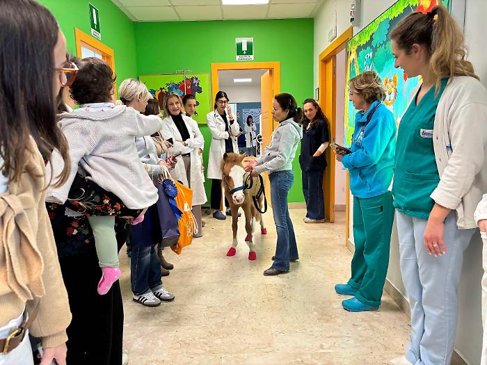 Festivit&agrave; e sorrisi all'ospedale Cervello: un pony vestito da Babbo Natale per distribuire doni ai bambini