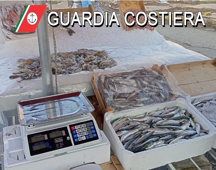 Operazione Fish: 112 tonnellate di pesce sequestrate e sanzioni