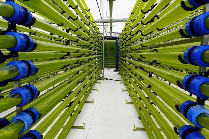 A Catania le aziende di oggi che scrivono il domani: dalle alghe per gli integratori al robot che raccoglie arance, pere e kiwi