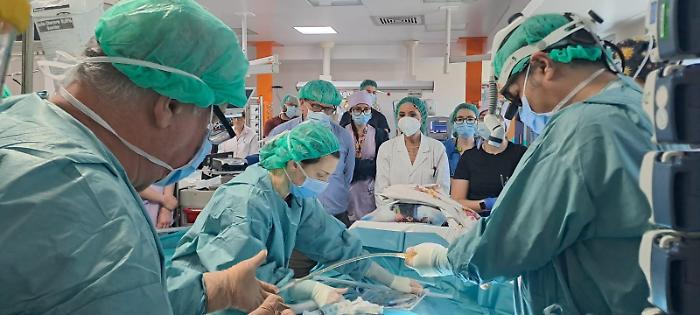 Cardiochirurgia pediatrica, i genitori del Comitato: "La salute dei nostri figli non &egrave; negoziabile"