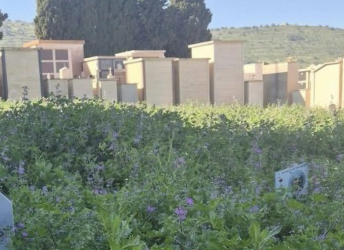 Comiso, nel degrado l'area cimiteriale cittadina