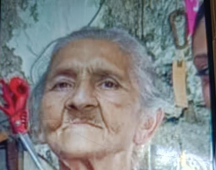 L'anziana scomparsa