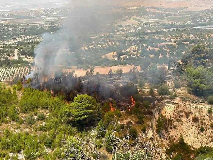 Chiaramonte, incendio nella macchia forestale. Il sindaco: "Vietato entrare"