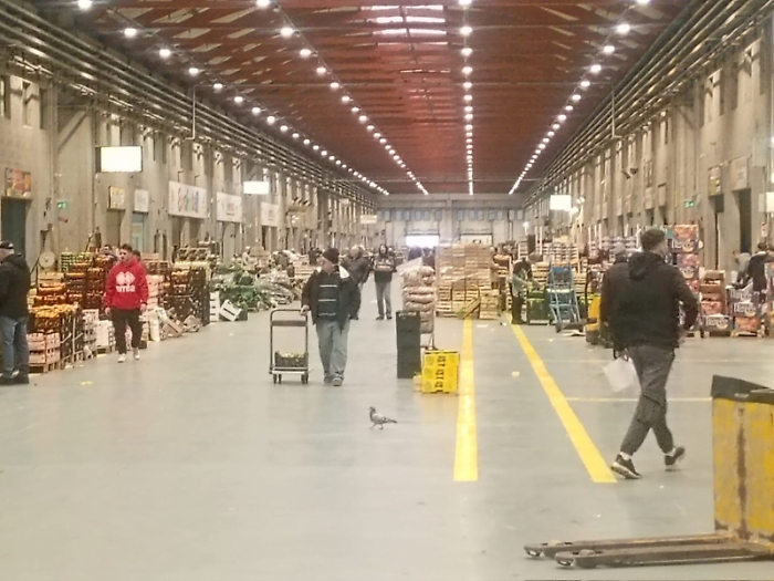 Viaggio al Maas di Catania, ortofrutta e pesce fresco ai privati: esperimento che piace ma con riserva