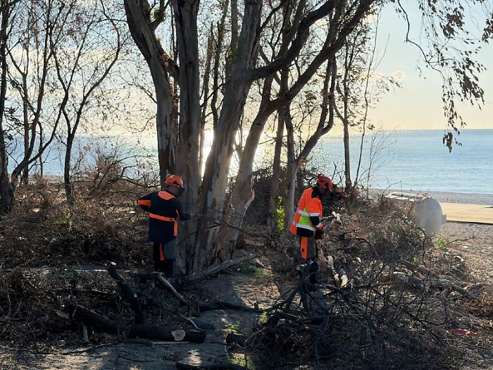 Operai e ruspe in azione per salvare la stagione sul litorale di Sant&rsquo;Anna